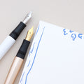 Penfort Taccia Urbane Fountain Pen