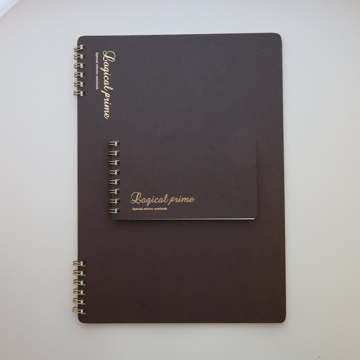 Nakabayashi Logical Prime Double Ring Spiral Notebook